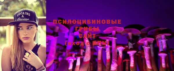 прущие крисы Алзамай