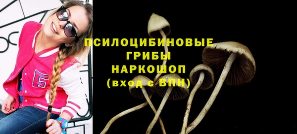 прущие крисы Алзамай