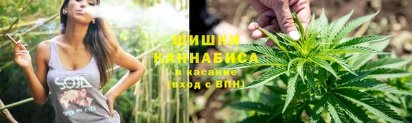 прущие крисы Алзамай